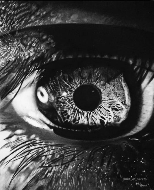 A Window to the Soul: Mesmerizing Handmade Eye Drawing